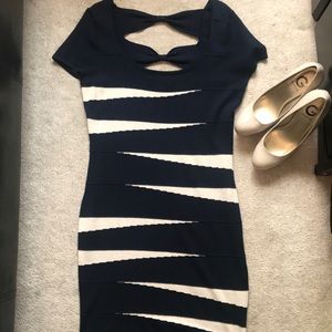 Pink Rose sweater dress